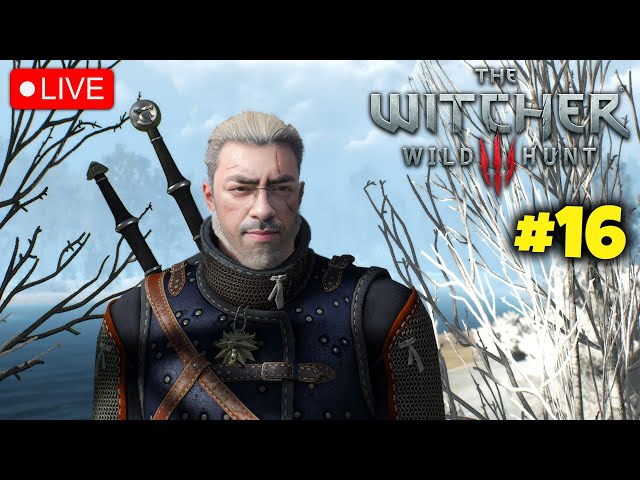 Continuing this Game | The Witcher 3: Wild Hunt | Live Hindi #16