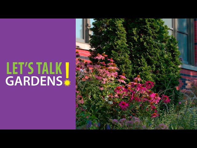 Changes in Perennial Gardening in the US Over the Past 50 Years