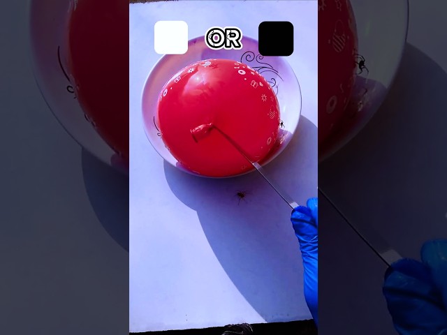 You can't guess the result 😬 #funny #balloon #shorts #colors #viralvideo