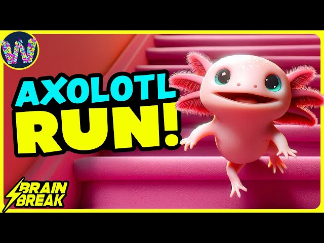 ⚡️ The Axolotl Run ⚡️ Brain Break ⚡️ Coach W Song for Kids