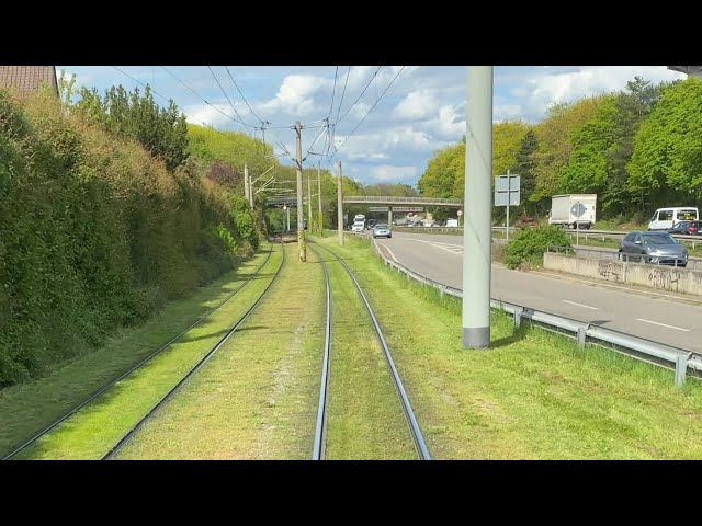 Mit der 🚋 Straßenbahn durch ❤️￼Freiburg 🍀 grüne Stadt, rasen auf Linie1 frisch geschnitten,🌞￼￼￼￼￼