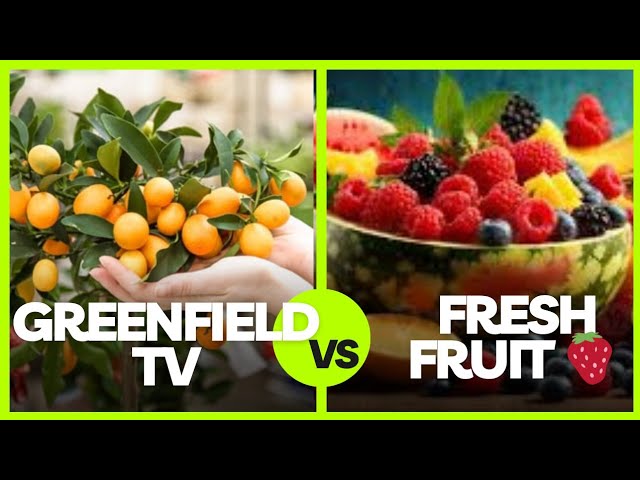 "Secrets of Beautiful Fruit Orchards:Transform Farming with High-Yield Techniques!"100 #shorts