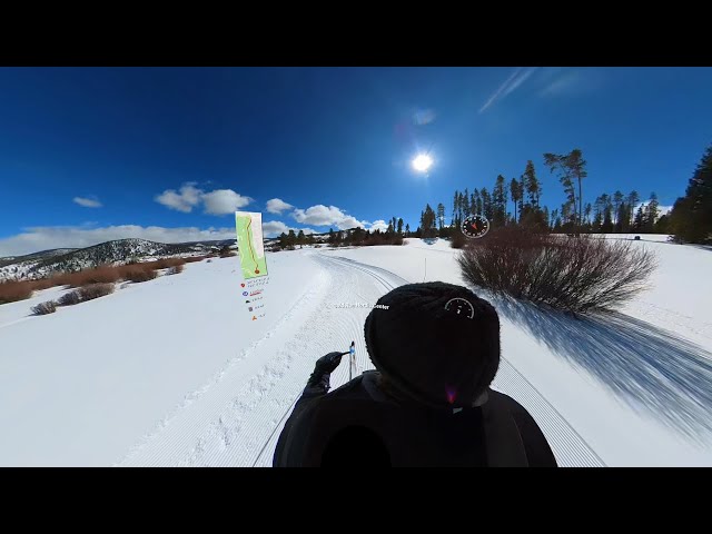 Nordic skiing a tour of Gold Run near Breck, CO, with 360 camera video!