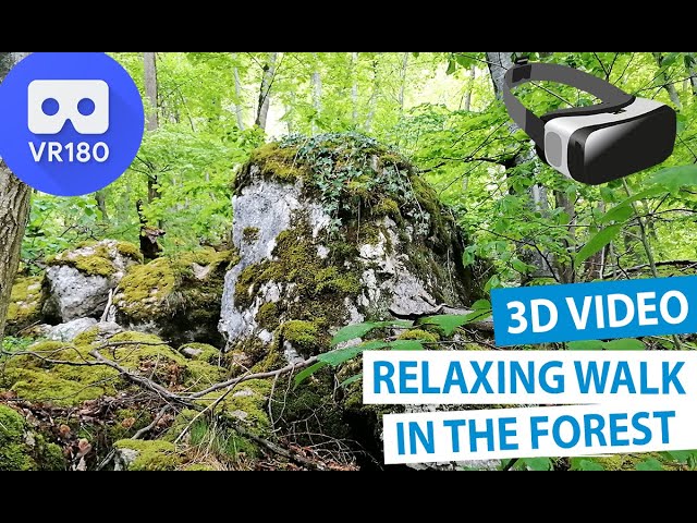 3D Relaxing Walk in The Forest VR180