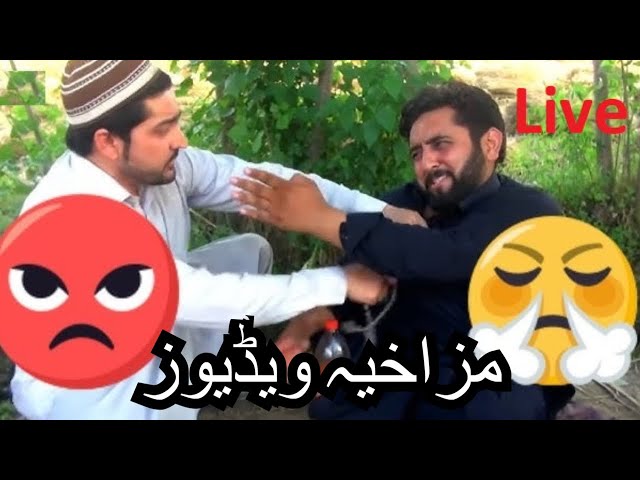 Live | New  pashto funny video | Pashto funny tiktok video 2025 | PK Vines #pashofunny #pashtotiktok