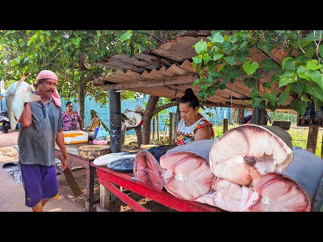 Huge Fish Cutting Action at the Largest Street Fish Market