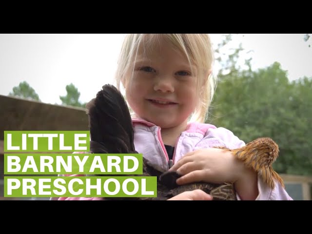 Learning in Nature at a Forest School | The Little Barnyard Preschool