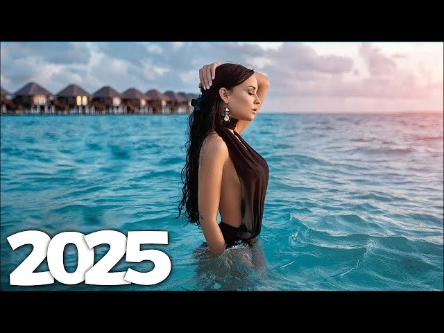 Alan Walker, Dua Lipa, Coldplay, Martin Garrix & Kygo, The Chainsmokers Style 🔥 Summer Vibes #5