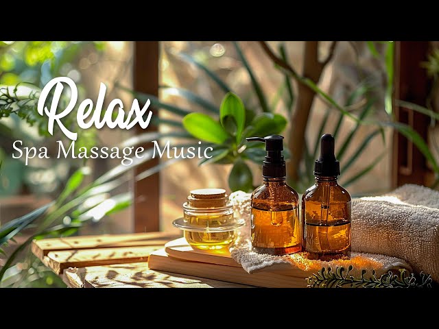 True Spa Relax & Meditation Music - Soothing Ambient Massage Music for Deep Relaxation & Meditation