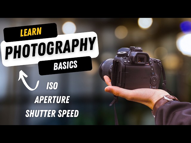 Camera Basics: ISO, Aperture, and Shutter Speed Explained!