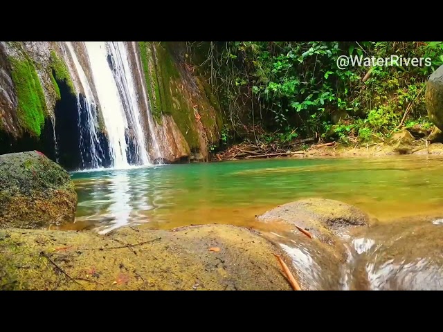 Forest Waterfall Sounds Mountain Stream - River Water Sounds White Noise | Sleep and Relaxation