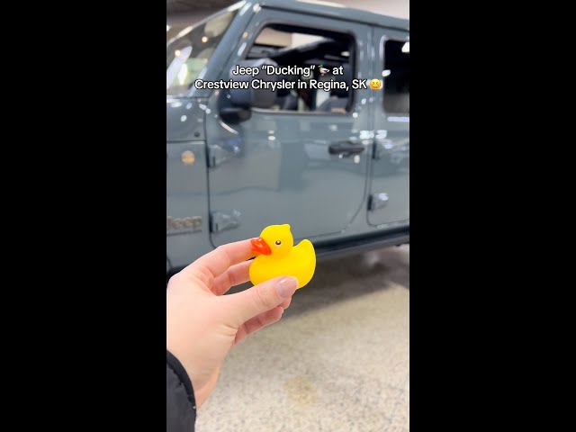 Jeep "Ducking" at Crestview Chrysler in Regina, SK 🦆😆