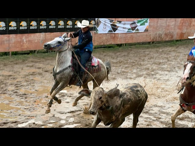 III dairy festival in the city of Arauca COLOMBIA bar race