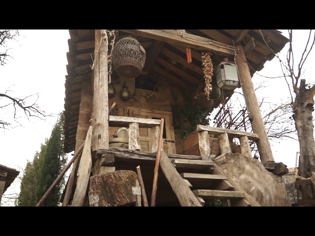 Old Wooden Cabin in the Woods Dolly Shot | Stock Video of Cabins | 59.94fps 1080p