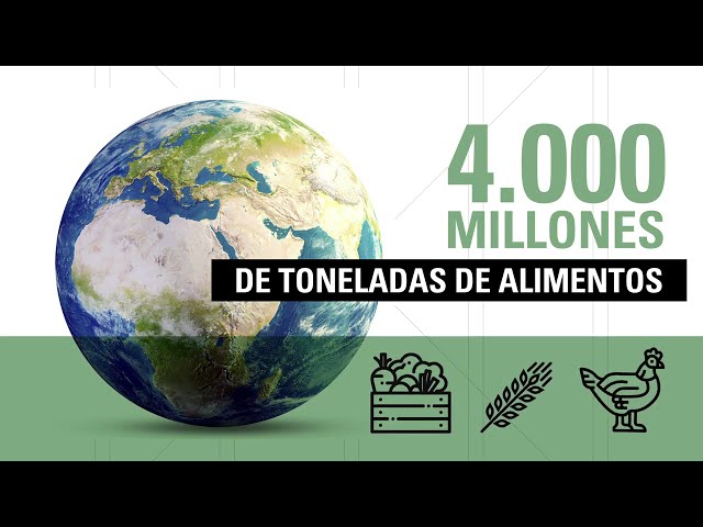 EL DESPERDICIO ALIMENTARIO, UN COSTE MILLONARIO PARA EL PLANETA. INFORME