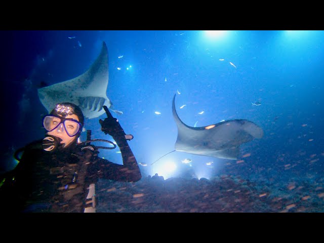 Night Diving with Manta Rays in Hawaii