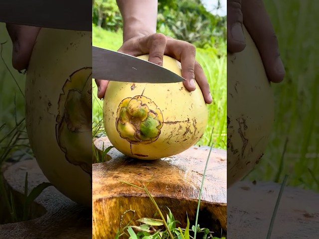 Very Amazing Coconut Cutting Skills #fruit  #amazing #coconutcutting #satisfying #asmr #shorts #fyp