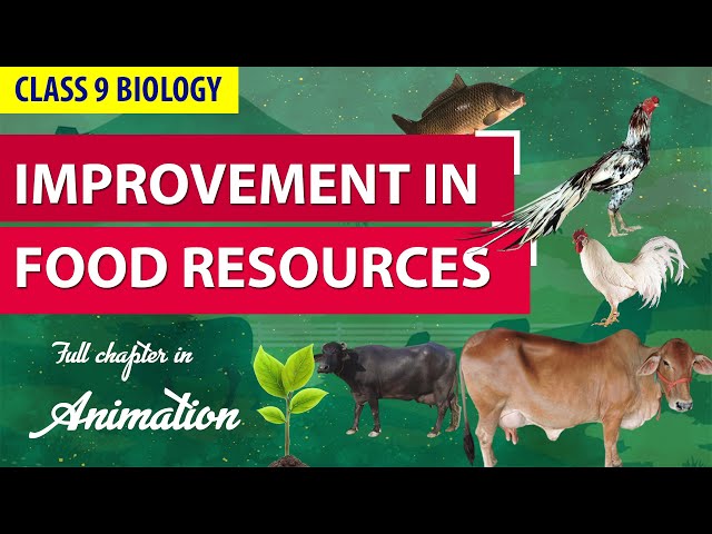 Improvement in Food Resources in 25 mins Class 9 Easiest Full Chapter in One-Shot | CBSE CH12  NCERT