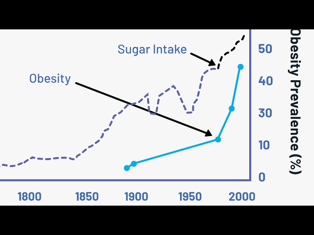 Why and How You Can Quit Sugar