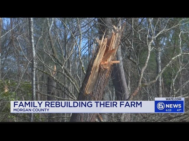 Morgan County family rebuilding their farm after tornado