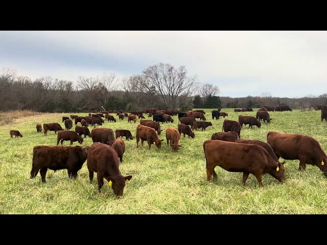 Greg gives thanks to the many folks that are part of Green Pastures Farm success.