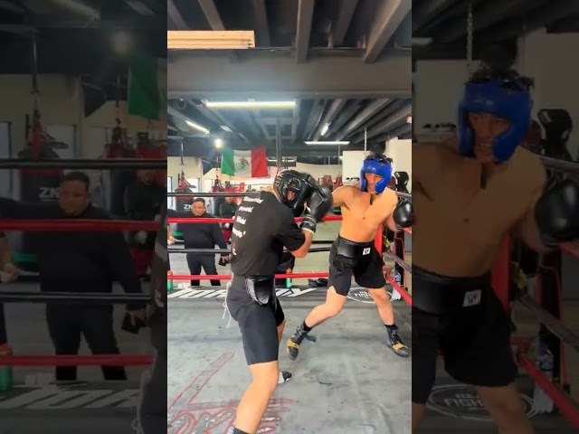 Sparring #boxing #mma #combattechniques #combatives