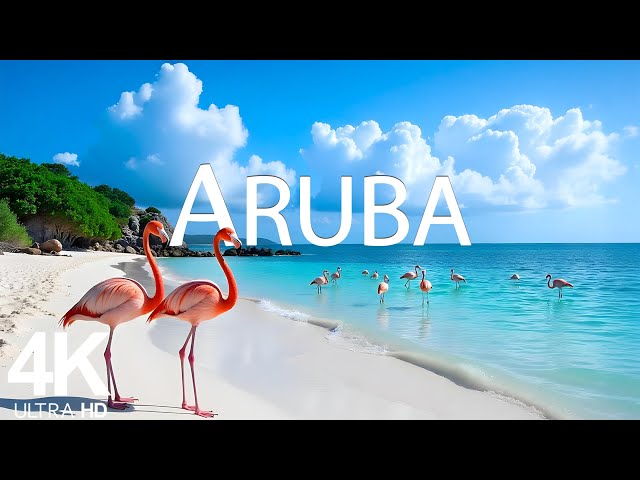 Aruba 4K - The Most Beautiful Island in the Caribbean