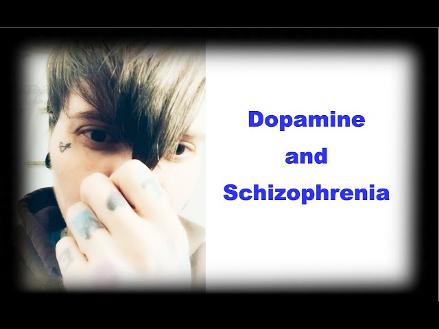 What Causes More Symptoms and What Helps to Prevent Them? Dopamine and Schizophrenia