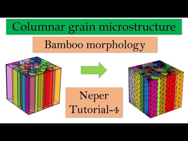 Columnar and Bamboo microstructure using NEPER | Neper software tutorial part 4