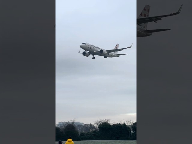 Brussels Airlines Airbus A320 OO-SBE Landing Heathrow #heathrowplanespotting #aviation #airbus320