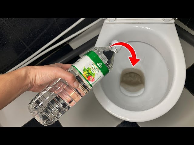 Pour VINEGAR INTO THE TOILET 💥 And the result will amaze you