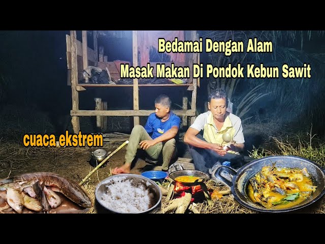 RASA PUAS KETIKA HASIL BURUAN JADI SANTAPAN || MASAK DI PONDOK KEBUN SAWIT