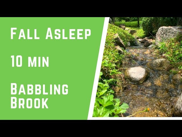 10 min Babbling Brook, Water Stream Sounds, Relaxing Nature Sounds, Study, Deep Sleep.