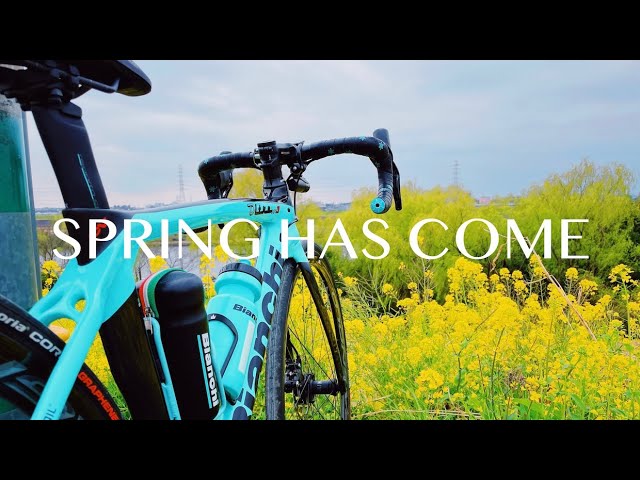 Coffee ride along Arakawa, with canola flowers telling that Spring has come | Bianchi/Japan/Cycling