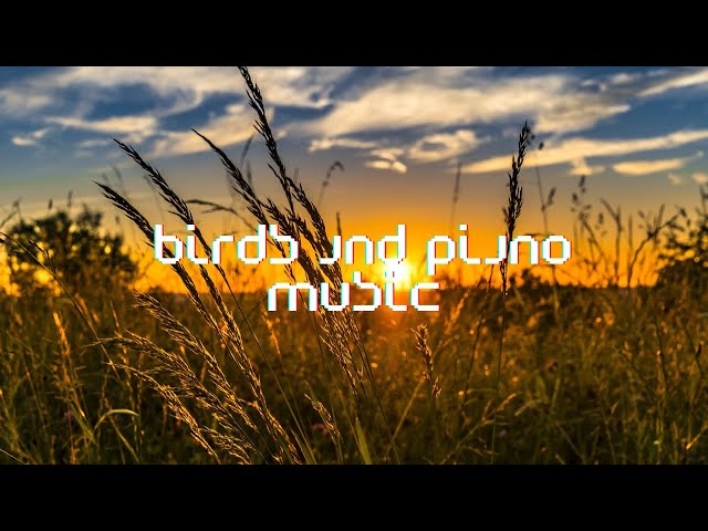 Melodic Harmony: Soothing Birds and Piano Music for Ultimate Relaxation#piano #relaxation #smooth