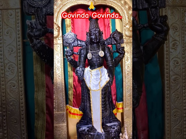 Govinda🙏 #tirumala #holy #love #tourist #instagood #beautiful #travel #wanderlust #beauty #spiritual