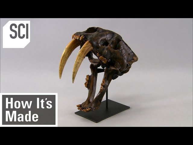 How It's Made: Skeletal Replicas