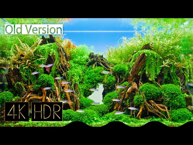 [Old Ver.] Aquarium Video / Fixed 30minutes 4K HDR 60fps • Water sound • Fish Tank