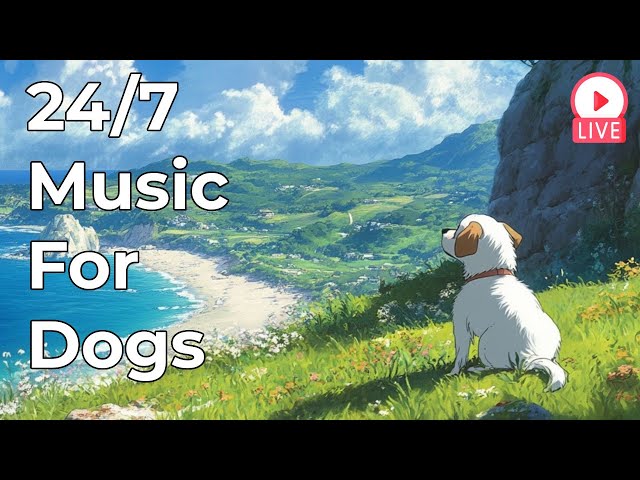 🔴 [LIVE] Soothing Calm Music for Dogs to Relax 24/7