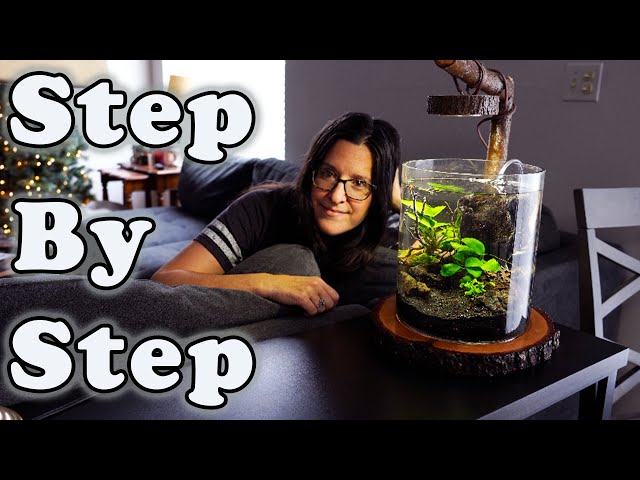 Scape With Me! 🪄🌿☺️- The Non Professional’s Guide to NANO Aquascaping - Simple Tips