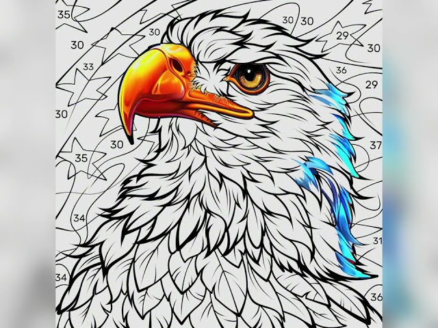 🎨Paint by Numbers | Eagle |Colouring Game |How to Paint by Number | Digital Art Therapy