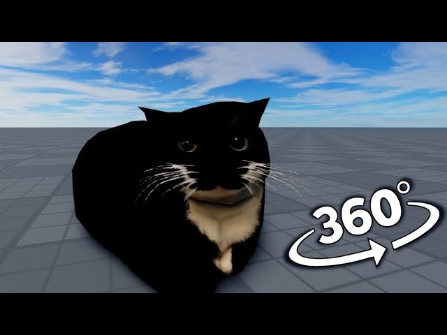 Maxwell The Cat but it's 360 degree video