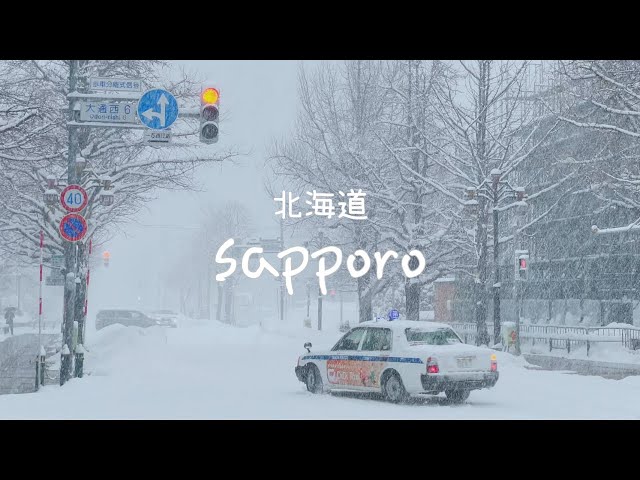 홋카이도 vlog.❄️ 1인칭 시점 나홀로 해외여행 | 삿포로, 오타루, 비에이 겨울여행 브이로그