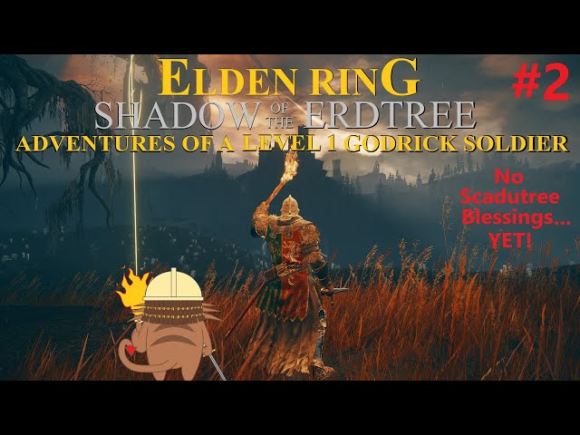 Rune Level 1 No Scadutree Blessing Godrick Soldier Cosplay! (PC)Elden Ring: Shadow of the Erdtree!