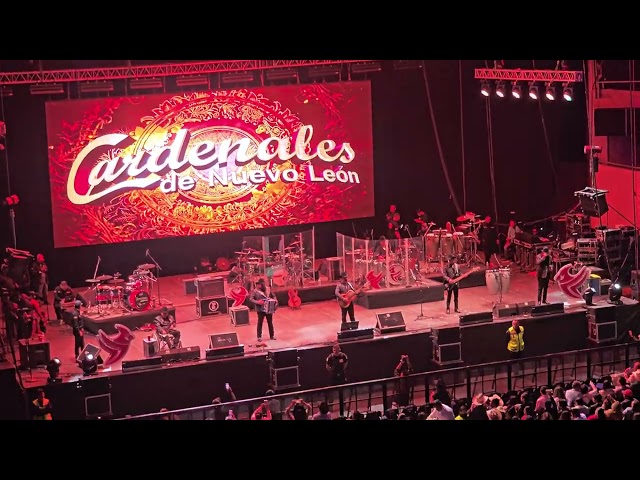 LOS CARDENALES DE NUEVO LEON / AMOR AÑEJO & COMPRENDALA / EN VIVO / AUDITORIO GNP 2025