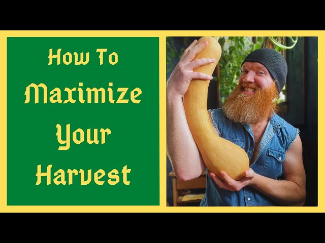 My 5 Tips To Maximize Your Harvest