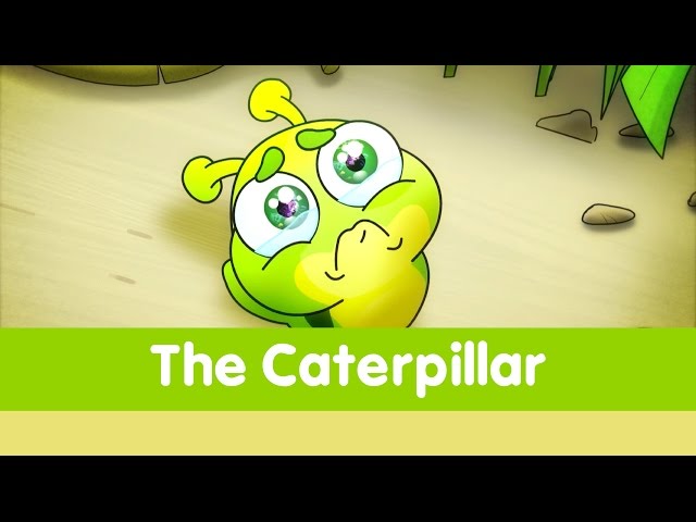 The Caterpillar - Toyor Baby English