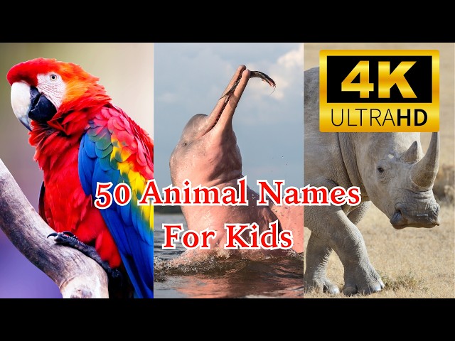 Discover the TOP 50 Amazing Animals for Kids to Learn About!