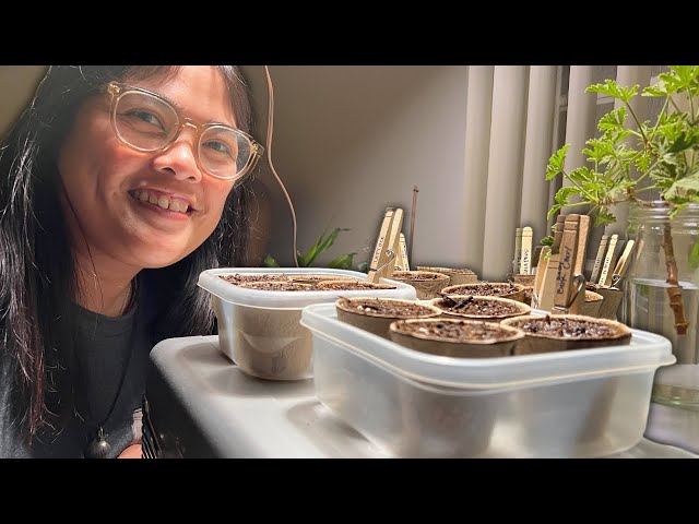 Starting My Apartment Vegetable Garden | Day In The Life