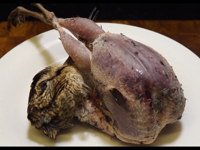 How To Prepare And Cook A Woodcock. TheScottReaProject.